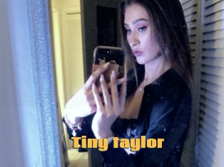 Tiny_taylor