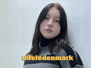 Udeledenmark