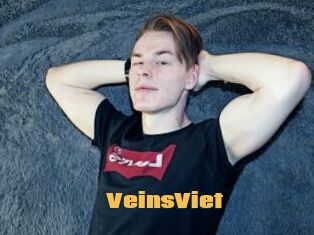 VeinsViet