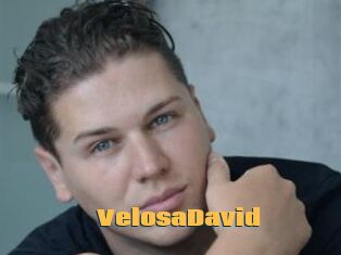 VelosaDavid