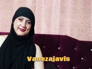 Vanezajavis