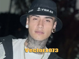 Vectorx073