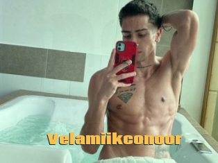 Velamiikconoor