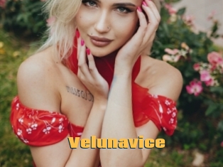 Velunavice