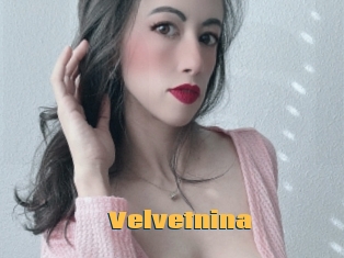 Velvetnina