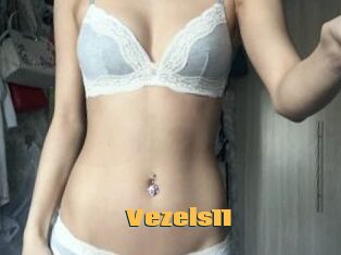 Vezels11