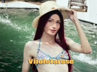 Viioletarose