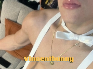 Vincentbunny