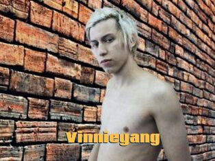 Vinnieyang