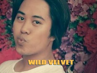 WILD_VELVET