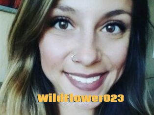 WildFlower023