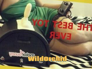 WildOrchid_