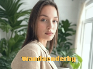 Wandaenderby