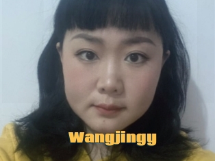 Wangjingy