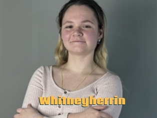 Whitneyherrin