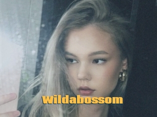 Wildabossom