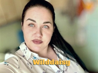 Wilddaisy
