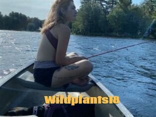 Wildplants18