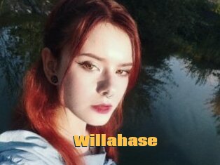 Willahase