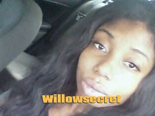 Willow_secret