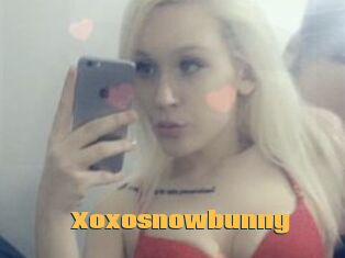 Xoxosnowbunny