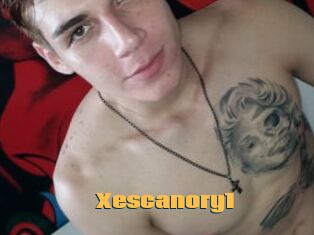 Xescanory1