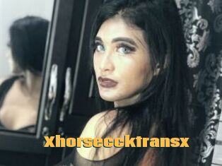 Xhorseccktransx