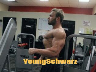 YoungSchwarz